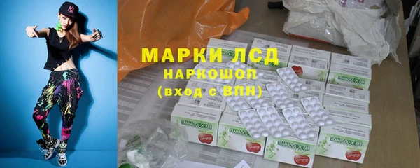 трава Белокуриха