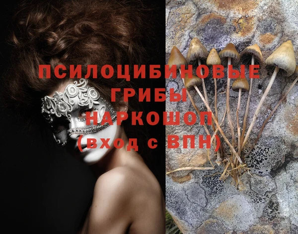 трава Белокуриха
