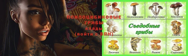 трава Белокуриха