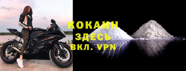 трава Белокуриха