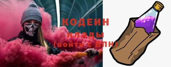 трава Белокуриха