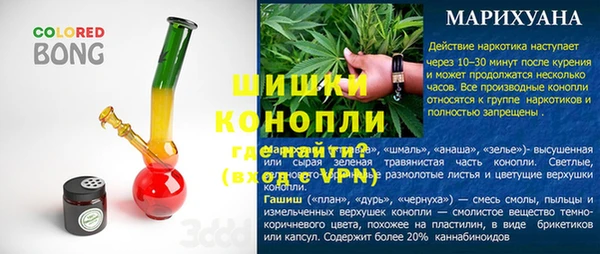 трава Белокуриха