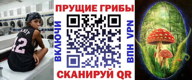Галлюциногенные грибы GOLDEN TEACHER  цена   нарко площадка телеграм  Электрогорск 